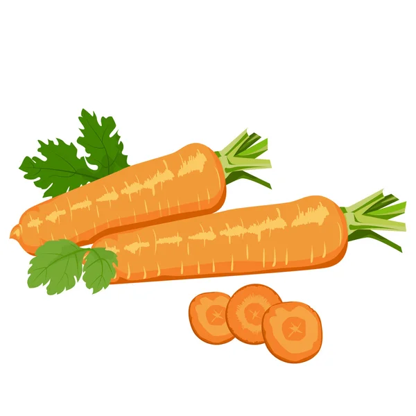 Carrots. Healthy lifestile — Stock Vector