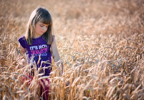 Niña en el campo de trigo —  Fotos de Stock