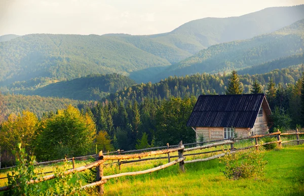Ukrainian summer landscape, Carpathians — Stock Photo, Image
