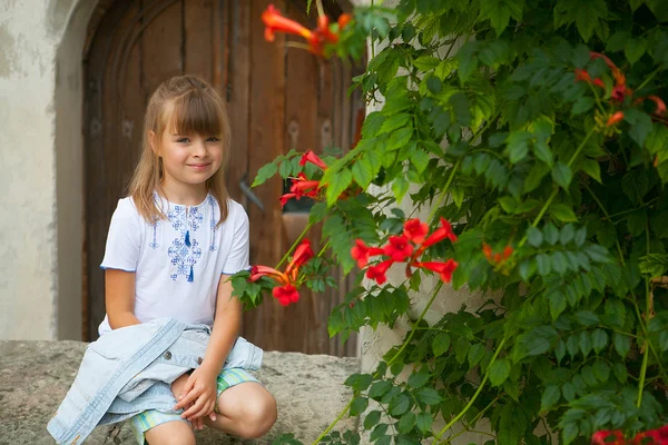 Krásná dívka v ukrajinských výšivky na pozadí — Stock fotografie