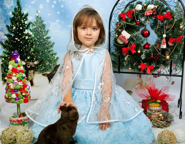 Χαριτωμένο μικρό κορίτσι σε ένα μπλε φόρεμα με ένα ακρωτήριο, στο ύπαιθρο με ένα — Φωτογραφία Αρχείου