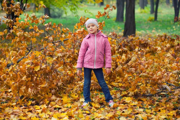 Krásná holčička v růžové sako a klobouk na podzimní backgro — Stock fotografie