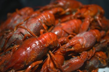 lezzetli Restoran gıda