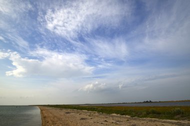 Siwash, ya da çürük deniz dar ve uzun örgü 