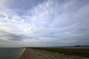 Siwash, ya da çürük deniz dar ve uzun örgü 