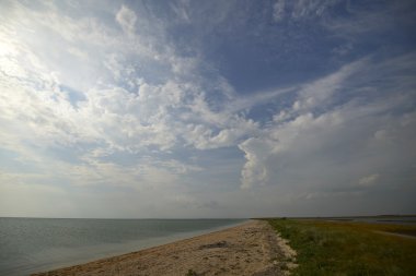 Siwash, ya da çürük deniz dar ve uzun örgü 