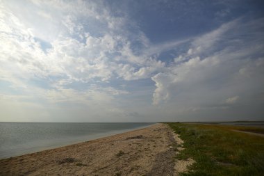 Siwash, ya da çürük deniz dar ve uzun örgü 