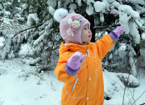 Barn Flicka Ett Gammal Promenad Vinterskogen — Stockfoto