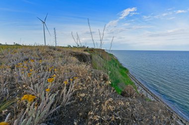 Azov Denizi 'ndeki deniz manzaraları, dik kıyılar, ağaçlar ve tarlalar..