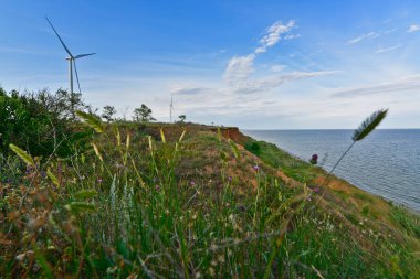 Azov Denizi 'ndeki deniz manzaraları, dik kıyılar, ağaçlar ve tarlalar..