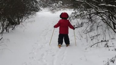 Küçük kız kışın ormanda kayak yapmaya gider..
