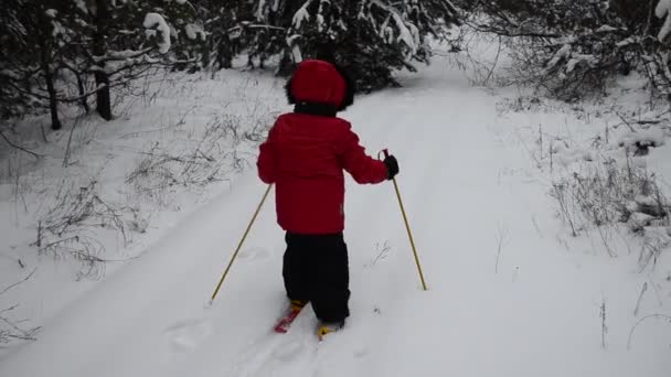 Barnflicka Åker Skidor Vintern Skogen — Stockvideo