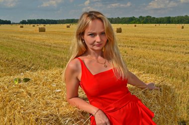 Gün batımında hasat edilen buğday tarlasında güzel bir genç kadın..