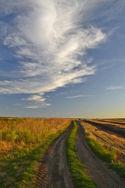 Hasat edilen tarlaların güzel kırsal manzaraları.