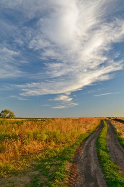 Hasat edilen tarlaların güzel kırsal manzaraları.