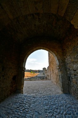 Akkerman Kalesi, Belgorod-Dnestrovskaya kalesi XIII-XV yüzyıllarının bir tarihi ve şehir planlama anıtıdır. Kale, modern Ukrayna topraklarının en iyi korunmuş kalelerinden biridir..