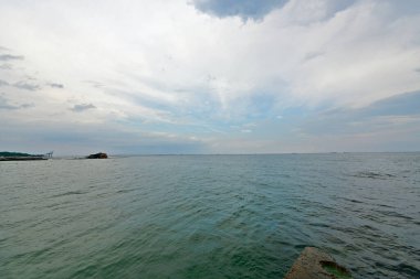 Odessa 'daki Karadeniz Yunusu plajı.