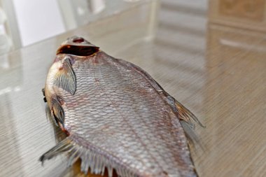 Evren, lezzetli çipura balığı. Harika bir bira..