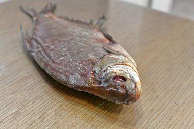 Evren, lezzetli çipura balığı. Harika bir bira..