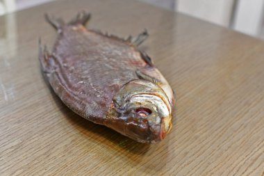 Evren, lezzetli çipura balığı. Harika bir bira..