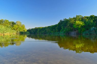 Ormandaki güzel yaz nehri manzarası.