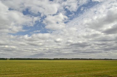 Hasat edilen mahsulden sonra tarla.