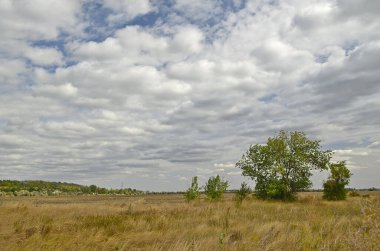 Bulutlu bir günde güzel bir kır manzarası.