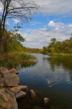 Yağmur sırasında ormanda sonbahar soğuk nehri.