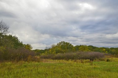 Sonbahar kırsal manzarası, akşam günbatımı.