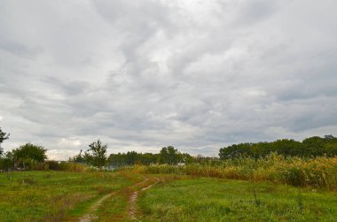 Sonbahar soğuk nehri, şehrin kenar mahallelerinde. .