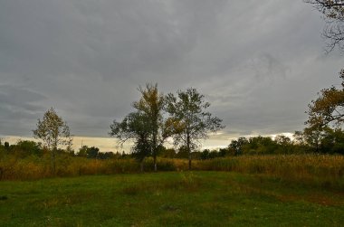 Sonbahar soğuk nehri, şehrin kenar mahallelerinde. .