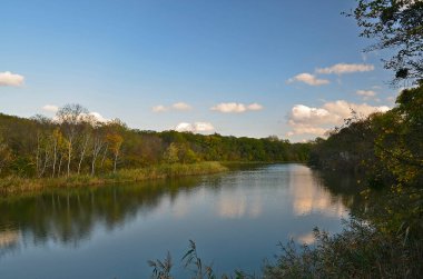 Sonbahar soğuk nehri, şehrin kenar mahallelerinde. .