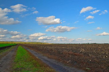 Sonbaharın sonlarında yeşil kış tarlası, saban sürmenin yanında..