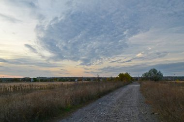 Sonbahar kırsal manzarası, akşam günbatımı.