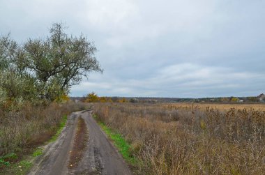 Sonbahar kırsal manzarası, akşam günbatımı.