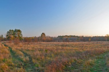 Sonbahar kırsal manzarası, akşam günbatımı.