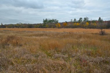 Sonbahar kırsal manzarası, akşam günbatımı.