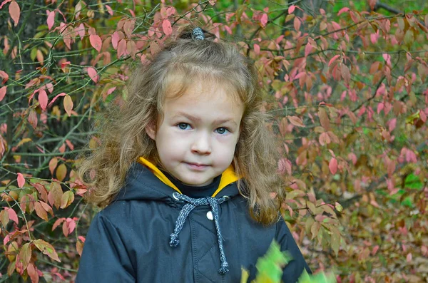 Mooi Kind Meisje Wandelingen Herfst Bos — Stockfoto