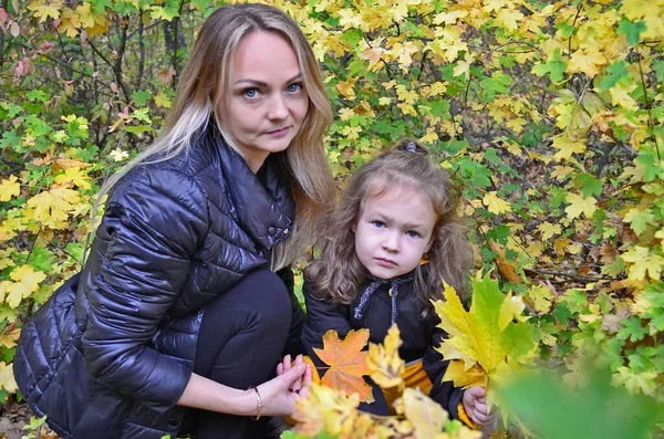 Joven Mamá Niña Están Caminando Bosque Otoño — Foto de Stock