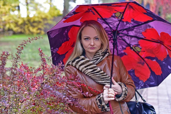 Bella Donna Cammina Sotto Ombrello Nel Parco Autunnale — Foto Stock