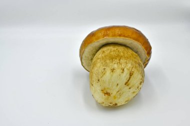 Ormanda toplanan Porcini mantarları, saf ekolojik bir ürün..