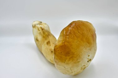 Ormanda toplanan Porcini mantarları, saf ekolojik bir ürün..