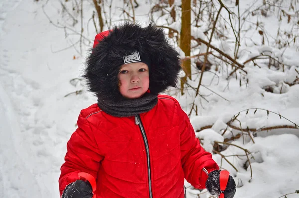 Liten Flicka Barn Åker Skidor Vintern — Stockfoto