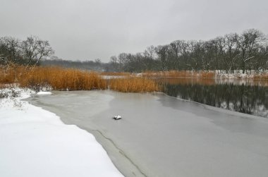 Orman nehirleri, güzel kış karlı manzarası.