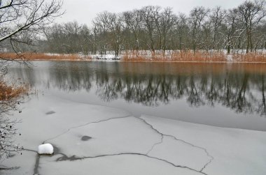 Orman nehirleri, güzel kış karlı manzarası.