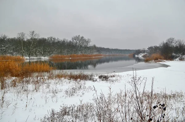 Fiumi Della Foresta Bellissimo Paesaggio Innevato Invernale — Foto Stock