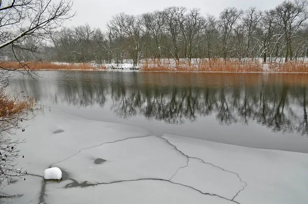 Waldflüsse Schöne Winterliche Schneelandschaft — Stockfoto