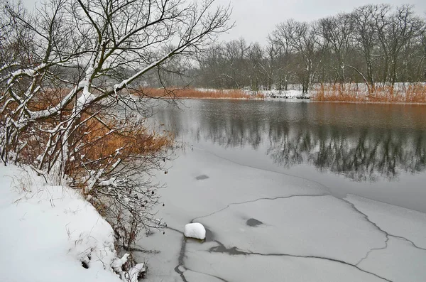 Ríos Del Bosque Hermoso Paisaje Nevado Invierno — Foto de Stock