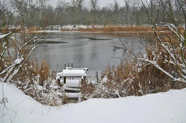 Floresta Rios Belo Inverno Paisagem Nevada — Fotografia de Stock