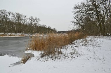 Şehrin içinde buzla kaplı güzel bir nehir..